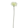 Floristik24 Kunstige blomster Gerbera Hvit 45cm