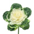 Floristik24 Kunstig kål hvit, grønn 25cm 6stk
