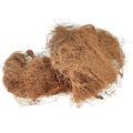Floristik24 Kokosfiber naturlig plantefiber naturlig fiber håndverksmateriale 1 kg
