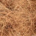 Kokosfiber naturlig plantefiber naturlig fiber håndverksmateriale 1 kg | Floristik24.no