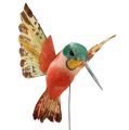 Floristik24 Hummingbird med wire 5,5cm L22cm assortert 12stk