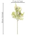 Kunstig bargren med kongler som kunstig borddekorasjon, 39 cm, 4 stk. | Floristik24.no