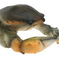 Floristik24 Deco krabbe og hummer 11cm - 15cm
