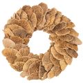 Floristik24 Krans av tresopp, naturlig farge, til dør- eller veggdekorasjon, 37 cm