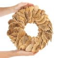 Krans av tresopp, naturlig farge, til dør- eller veggdekorasjon, 37 cm | Floristik24.no