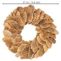 Krans av tresopp, naturlig farge, til dør- eller veggdekorasjon, 37 cm | Floristik24.no