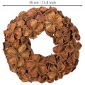 Tørket lotuskrans, dekorativ dørkrans, 35 cm | Floristik24.no