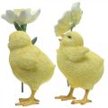 Floristik24 God påske kyllinger, kyllinger med blomster, påskebordpynt, dekorative kyllinger H11/11,5 cm, sett med 2