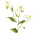 Floristik24 Kunstig Gloriosa-blomst, hvit og gul, elegant blomstrende gren til dekorasjon, 80 cm, 3 stk.