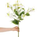 Kunstig Gloriosa-blomst, hvit og gul, elegant blomstrende gren til dekorasjon, 80 cm, 3 stk. | Floristik24.no