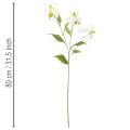 Kunstig Gloriosa-blomst, hvit og gul, elegant blomstrende gren til dekorasjon, 80 cm, 3 stk. | Floristik24.no