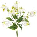 Kunstig Gloriosa-blomst, hvit