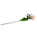 Floristik24 Artificial Lily Pink med Real Touch 100cm