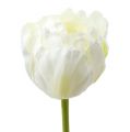Floristik24 Kunstige tulipaner hvitgrønne 86cm 3stk
