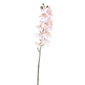 Floristik24 Kunstig orkidé Rosa Phalaenopsis Real Touch 58cm