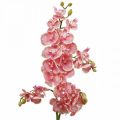 Floristik24 Kunstige orkideer deco kunstig blomst orkide rosa 71cm