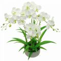Floristik24 Kunstige orkideer kunstige blomster i hvit potte 60cm