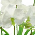 Floristik24 Kunstige orkideer kunstige blomster i hvit potte 60cm