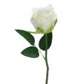 Floristik24 Kunstige roser i en haug hvit 30cm 8stk