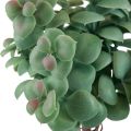 Floristik24 Kunstige eukalyptus kunstige planter for stikking 18cm 4stk