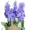 Floristik24 Kunstig lavendel kunstig blomst lavendel i jutepose hvit/lilla/blå 17cm 5stk