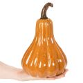 Keramisk gresskarhøstborddekorasjon 26 cm | Floristik24.no