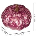 Mini gresskardekorasjonssett, høst- og halloweendekorasjoner, assorterte farger, 4 cm, 24 deler | Floristik24.no