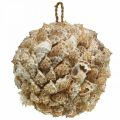 Skalldekorasjon ball havsnegler Maritim dekor for oppheng Ø18cm