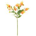 Kunstig Gloriosa oransje