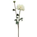 Floristik24 Kunstig blomst Dahlia Hvit Kunstig blomst med knopp H57cm