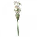 Floristik24 Kunstige blomster Cosmea hvite silkeblomster H51cm 3stk