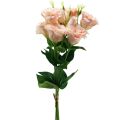Floristik24 Kunstige blomster Eustoma Lisianthus rosa 52cm 5stk