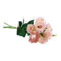 Floristik24 Kunstige blomster Eustoma Lisianthus rosa krem 52cm 5stk