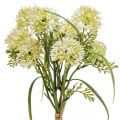 Floristik24 Kunstige blomster hvit allium dekorasjon prydløk 34cm 3stk i haug