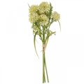 Floristik24 Kunstige blomster hvit allium dekorasjon prydløk 34cm 3stk i haug