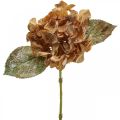 Floristik24 Kunstig hortensia tørket opp Drylook høstdekor L33cm