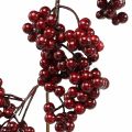 Floristik24 Krans av bær, julekvist, bær, rød vinterbær L180cm