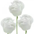 Floristik24 Kunstroser krem voksroser dekorative roser voks Ø6cm 18 stk