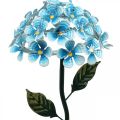 Floristik24 LED-krysantemum, lysende dekorasjon for hagen, metalldekor blå L55cm Ø15cm