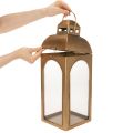 Lanterne metall glass metall messing utseende H50cm sett med 2 | Floristik24.no