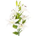 Floristik24 Kunstige liljer, 6 hvite blomster, realistisk blomstrende gren, 66 cm