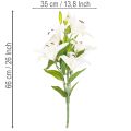 Kunstige liljer, 6 hvite blomster, realistisk blomstrende gren, 66 cm | Floristik24.no