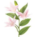 Floristik24 Kunstig liljeblomst, stilkblomst, dekorasjon, 68 cm, 3 stk.
