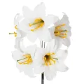 Floristik24 Kunstig liljeblomst, hvit, på ståltråd, medium størrelse, 35 cm, 5 stk.