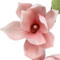 Floristik24 Kunstig magnolia lys rosa 70cm