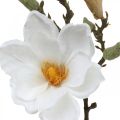 Floristik24 Magnolia hvit kunstig blomst med knopper på dekorativ gren H40cm
