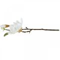 Floristik24 Magnolia hvit kunstig blomst med knopper på dekorativ gren H40cm