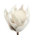 Floristik24 Magnolia blomst av skumgrå, hvit Ø10cm L26cm 4stk