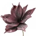Floristik24 Kunstig blomst magnolia lilla skumblomst Ø10cm 6stk