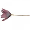 Floristik24 Kunstig blomst magnolia lilla skumblomst Ø10cm 6stk
